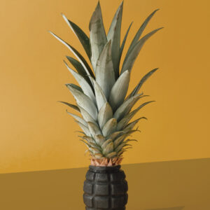 Etiopia - Dhilgee Danche #5 organic